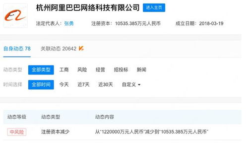杭州阿里巴巴减资百亿 科技巨头的战略调整与未来布局